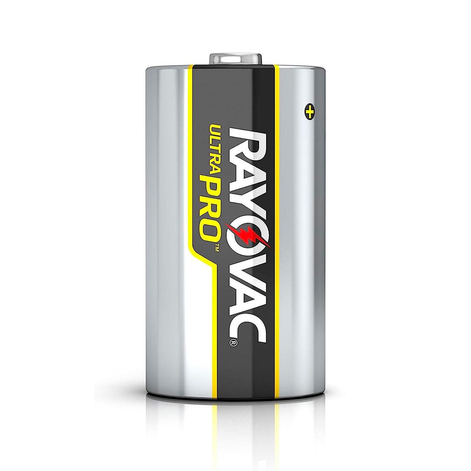 Delta Education D Cell Battery, Pack of 24, Item 020-7481